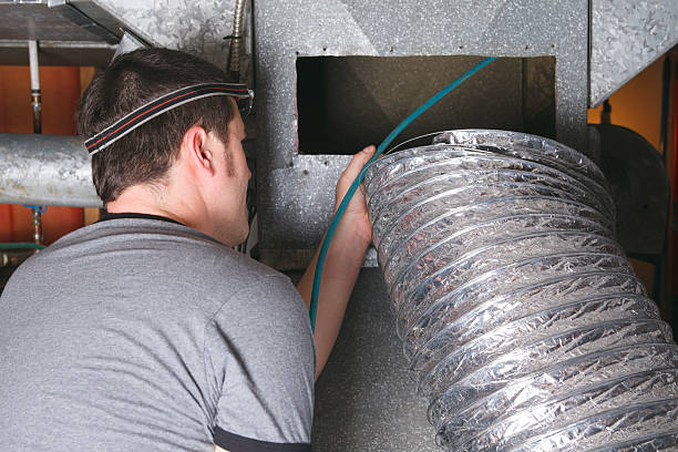 Best Air Duct Mold Removal  in Hanover, IN