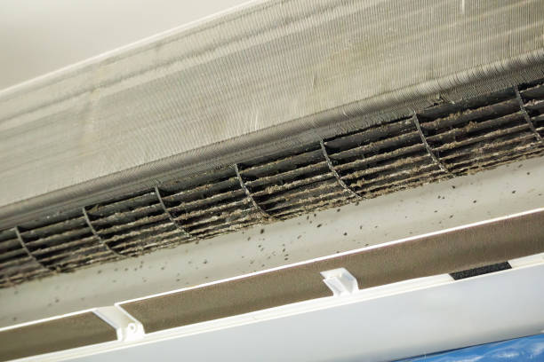 Best Best Air Duct Cleaning Company  in Hanover, IN